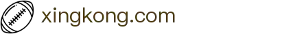 星空(中国)xingkong·官方网站-科技股份有限公司